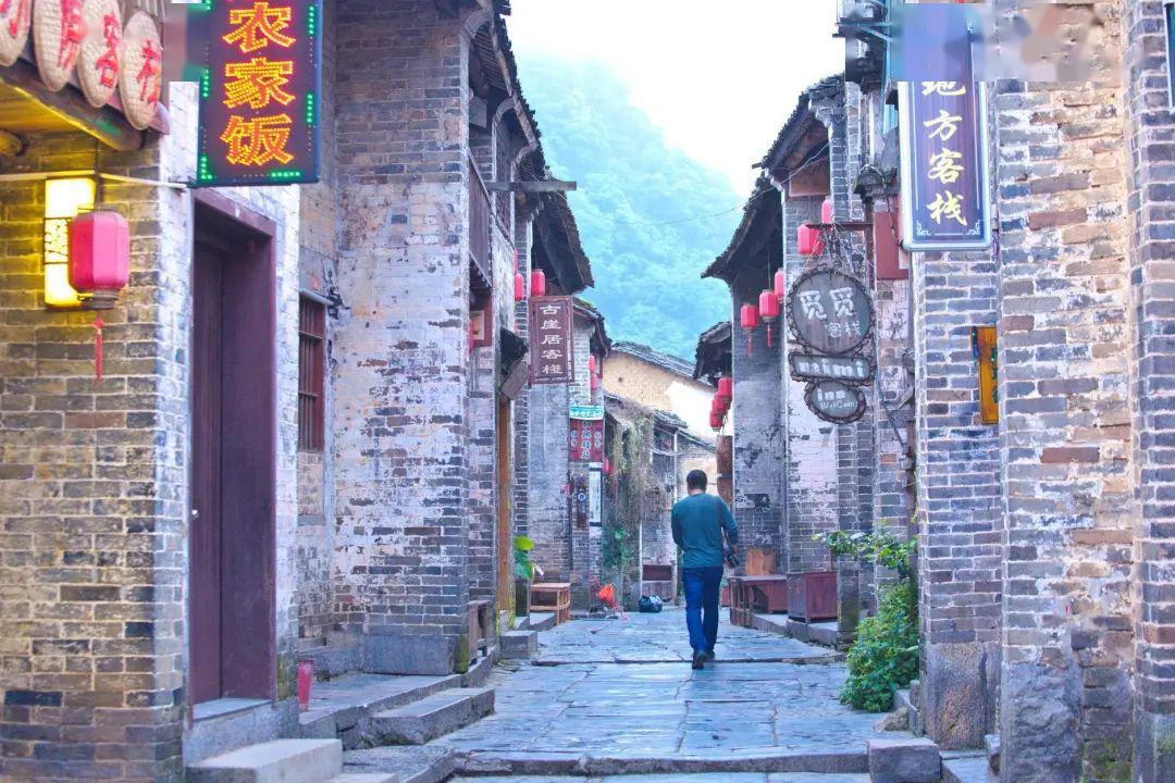 探索养猫要准备些什么东西啊?,发现更多有趣内容